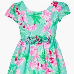Lilly Pulitzer Dress NWT Youth Size 14